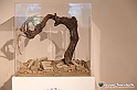 VBS_5038 - Novanta Anni di Bollicine Asti Spumante - Moscato d'Asti